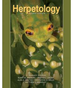 Herpetology 4 cover